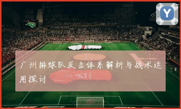 广州排球队反击体系解析与战术运用探讨
