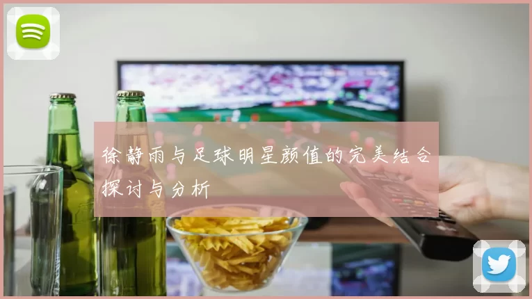 徐静雨与足球明星颜值的完美结合探讨与分析