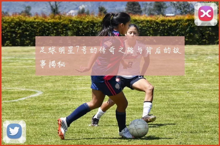足球明星7号的传奇之路与背后的故事揭秘