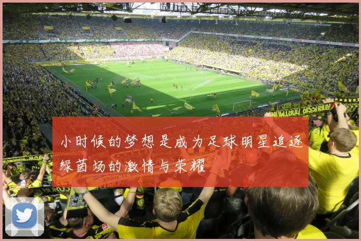 小时候的梦想是成为足球明星追逐绿茵场的激情与荣耀