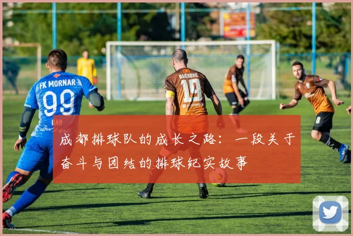 成都排球队的成长之路：一段关于奋斗与团结的排球纪实故事