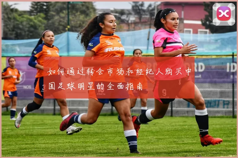 如何通过转会市场和经纪人购买中国足球明星的全面指南