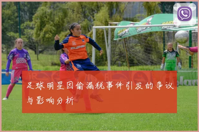 足球明星因偷漏税事件引发的争议与影响分析