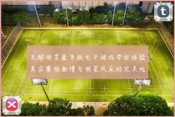 足球明星豪华版电子游戏带你体验真实赛场激情与明星风采的完美结合