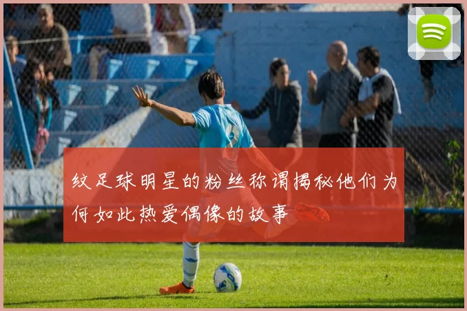 纹足球明星的粉丝称谓揭秘他们为何如此热爱偶像的故事