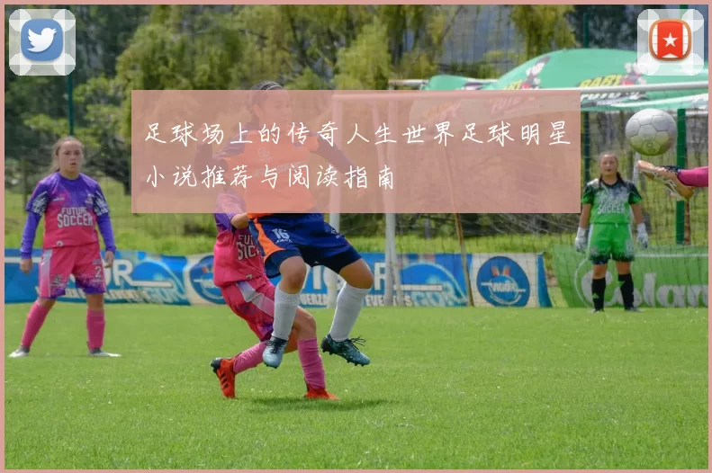 足球场上的传奇人生世界足球明星小说推荐与阅读指南