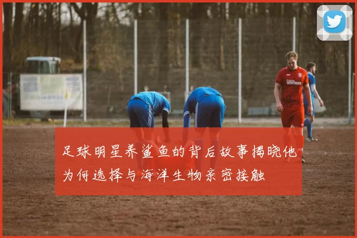 足球明星养鲨鱼的背后故事揭晓他为何选择与海洋生物亲密接触