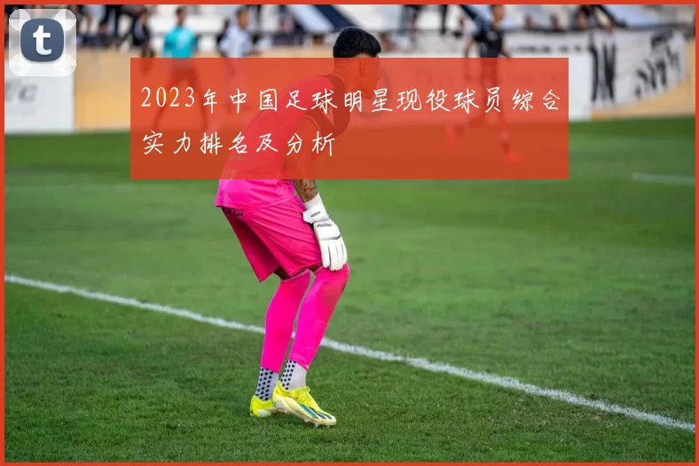 2023年中国足球明星现役球员综合实力排名及分析