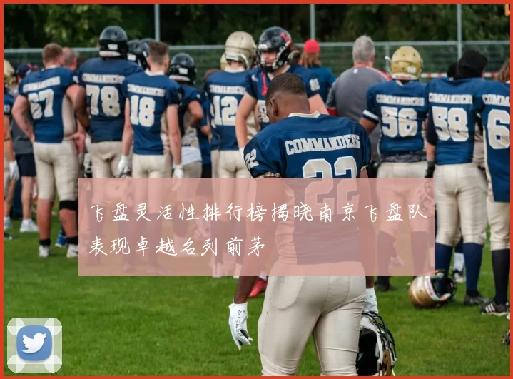 飞盘灵活性排行榜揭晓南京飞盘队表现卓越名列前茅