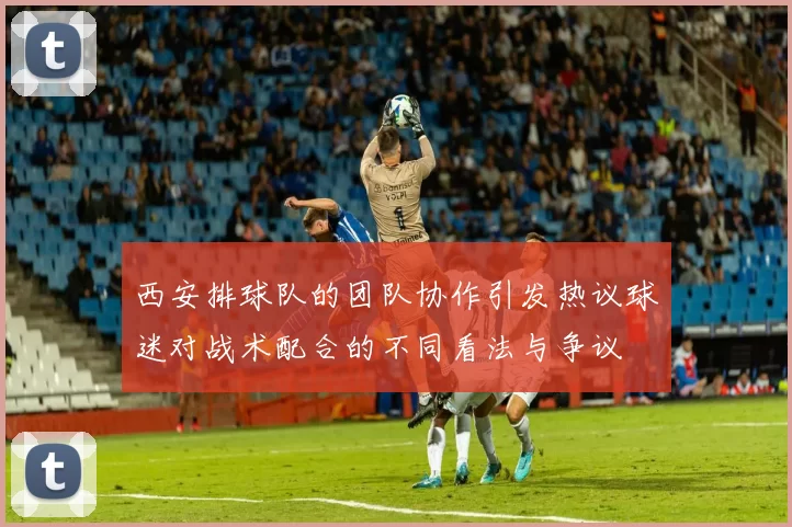 西安排球队的团队协作引发热议球迷对战术配合的不同看法与争议