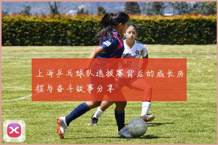 上海乒乓球队选拔赛背后的成长历程与奋斗故事分享
