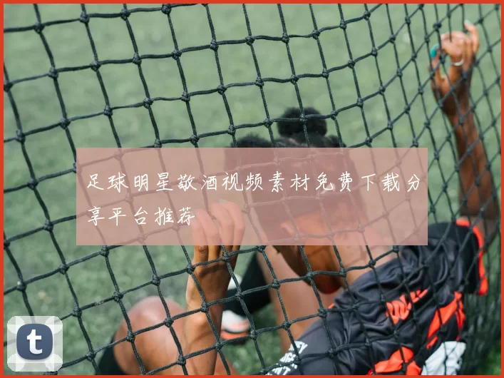 足球明星敬酒视频素材免费下载分享平台推荐