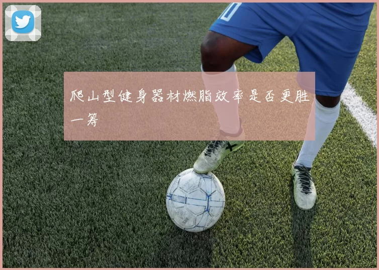 爬山型健身器材燃脂效率是否更胜一筹