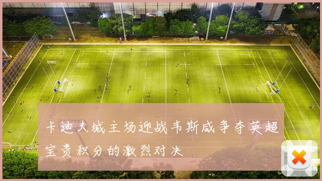 卡迪夫城主场迎战韦斯咸争夺英超宝贵积分的激烈对决