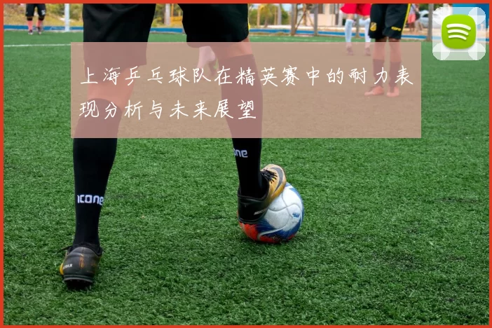 上海乒乓球队在精英赛中的耐力表现分析与未来展望