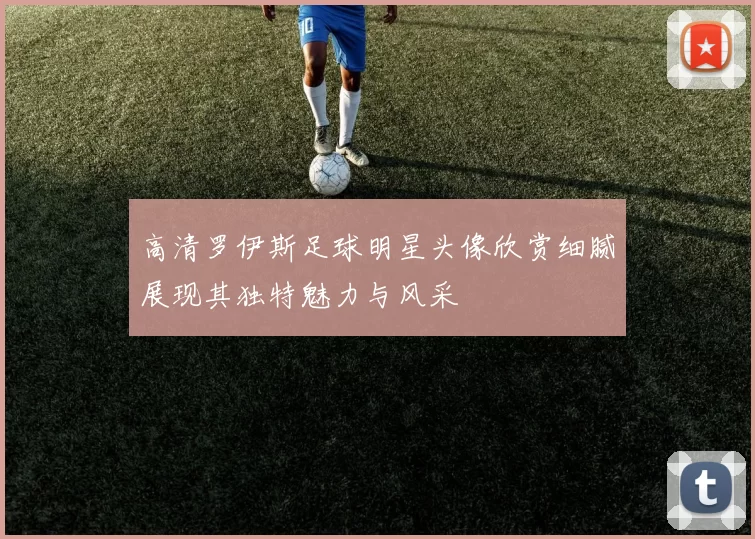 高清罗伊斯足球明星头像欣赏细腻展现其独特魅力与风采