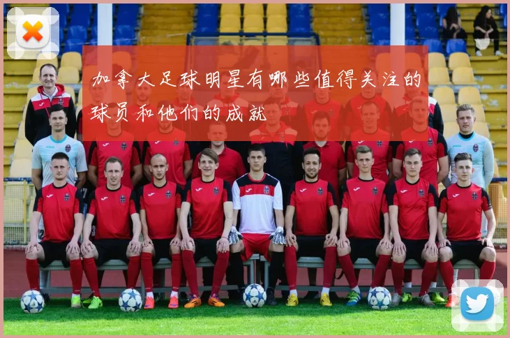 加拿大足球明星有哪些值得关注的球员和他们的成就