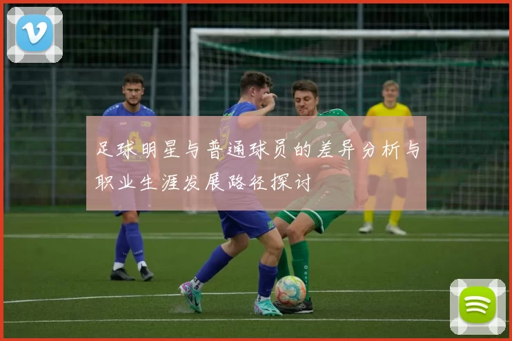 足球明星与普通球员的差异分析与职业生涯发展路径探讨