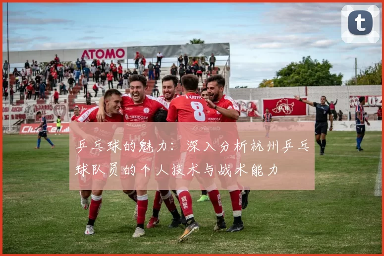乒乓球的魅力：深入分析杭州乒乓球队员的个人技术与战术能力